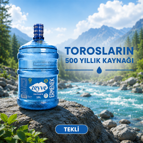 19 LT ZEYVE