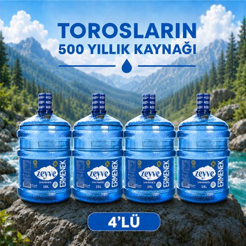 4 x 19 LT ZEYVE